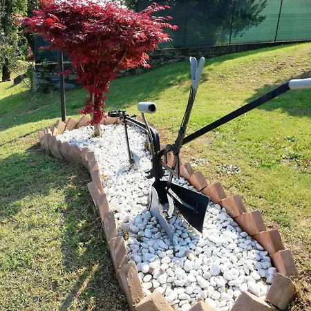 Il Nocciolino , 2 Mercallo