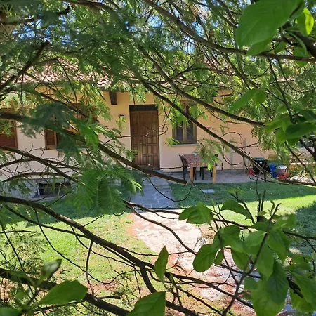 Il Nocciolino , 2 Nyaraló